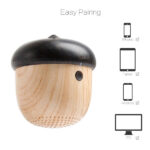 Speaker Nut Wood China Boetooth supplier