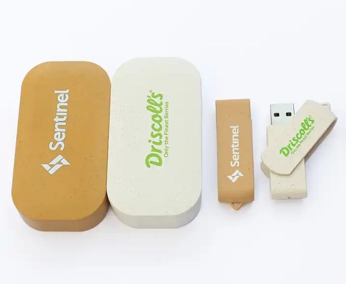 Pendrive ecologico con caja