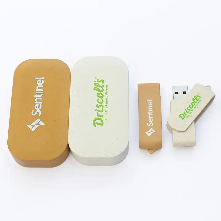 Pendrive ecologico con caja